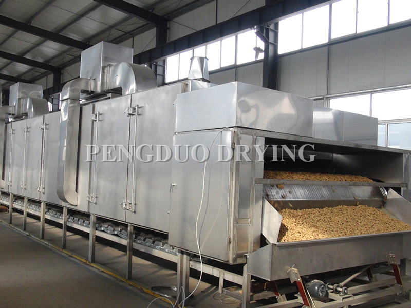 DW Single-Layer Belt Dryer