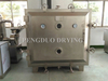 FZG Square Vaccum Dryer