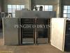 Pharmaceutical GMP Drying Oven